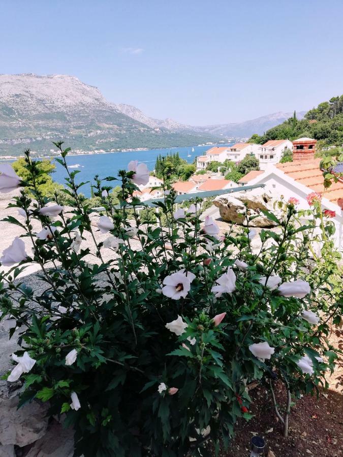 Amore Korčula Extérieur photo